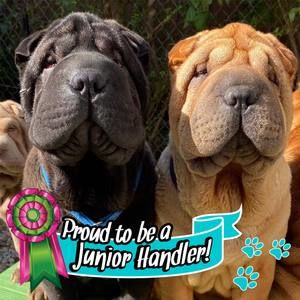 Meet your Posher, Colleen